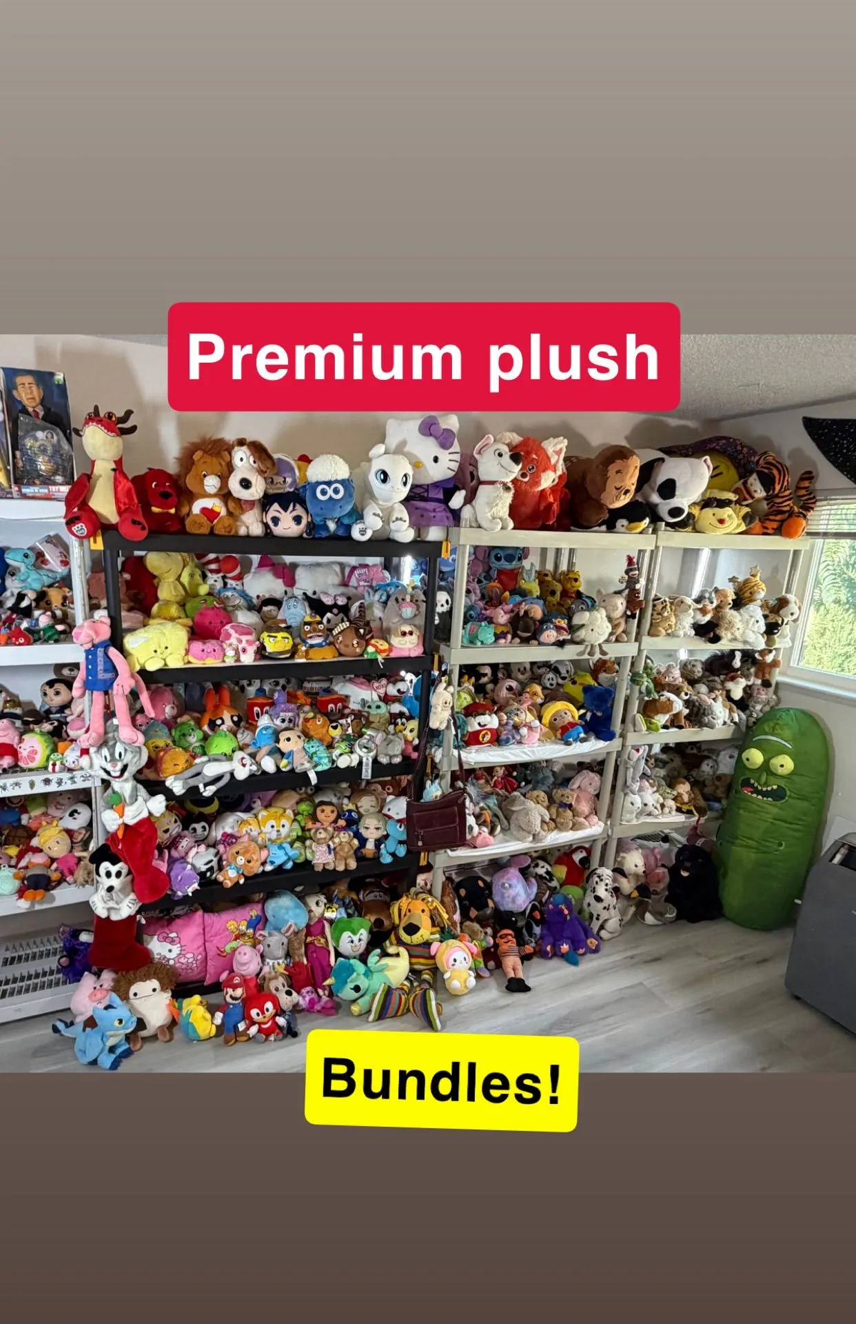 Miniature du live