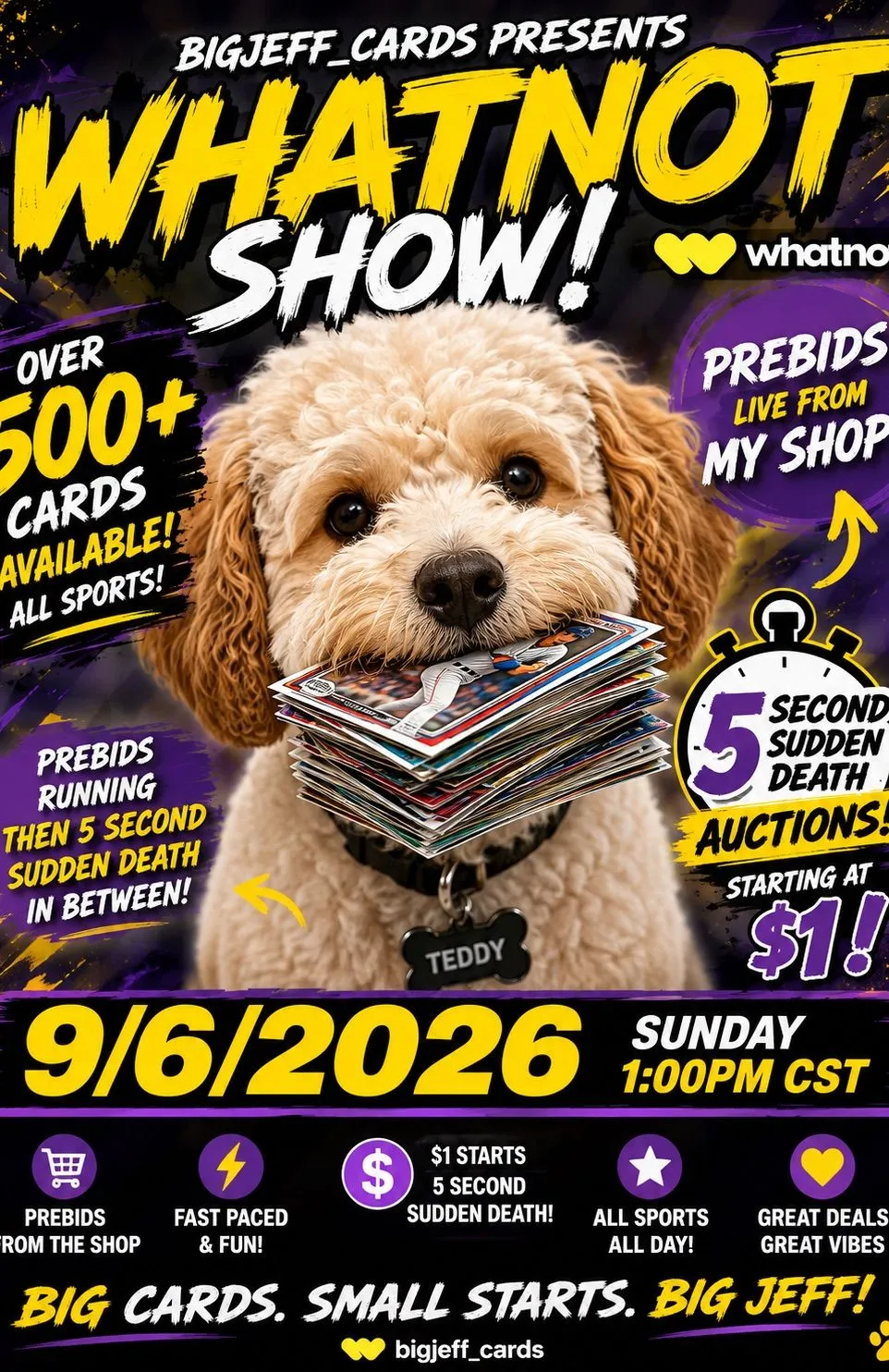 Thumbnail for live show