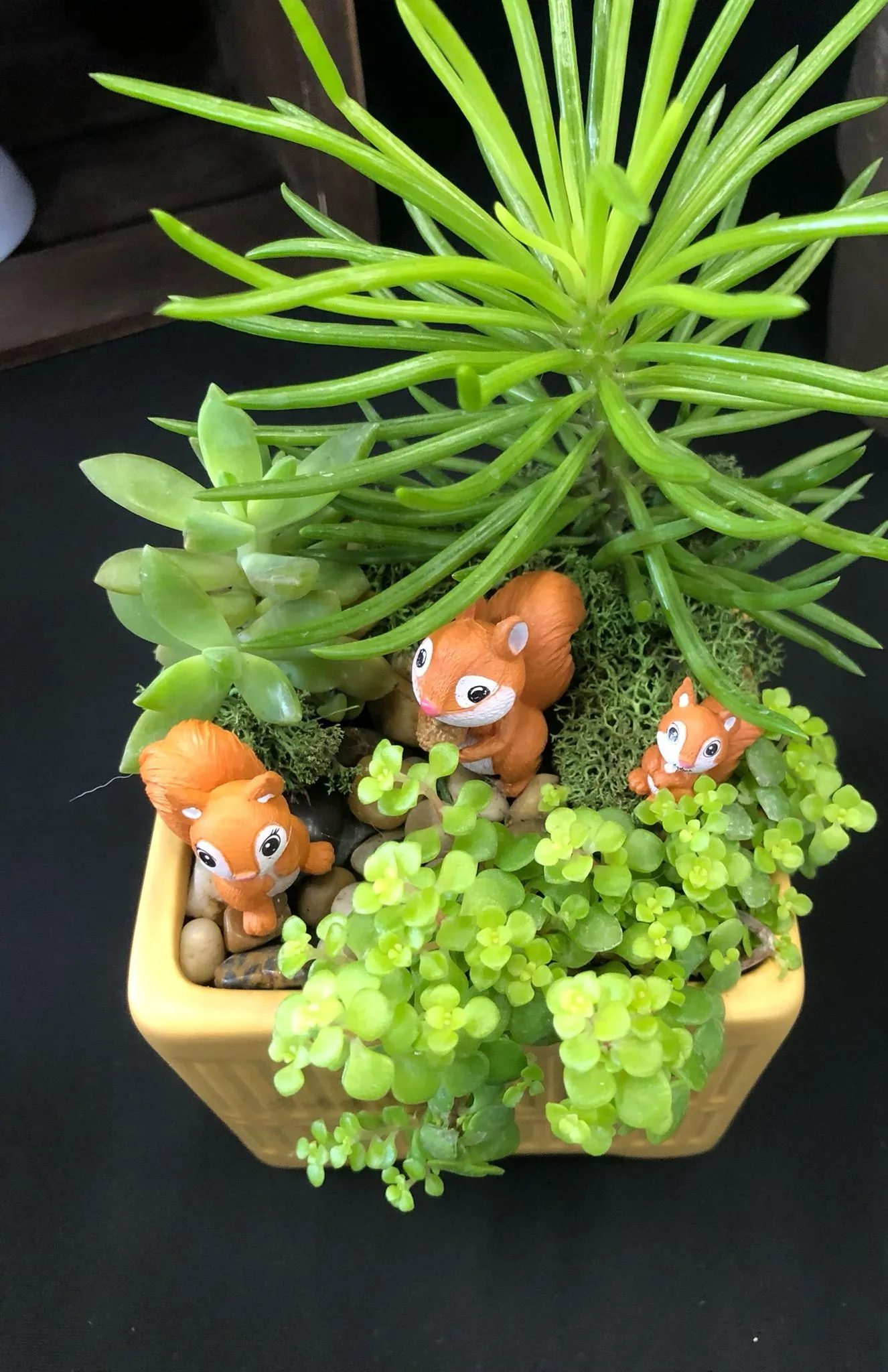 ライブ用のサムネイル