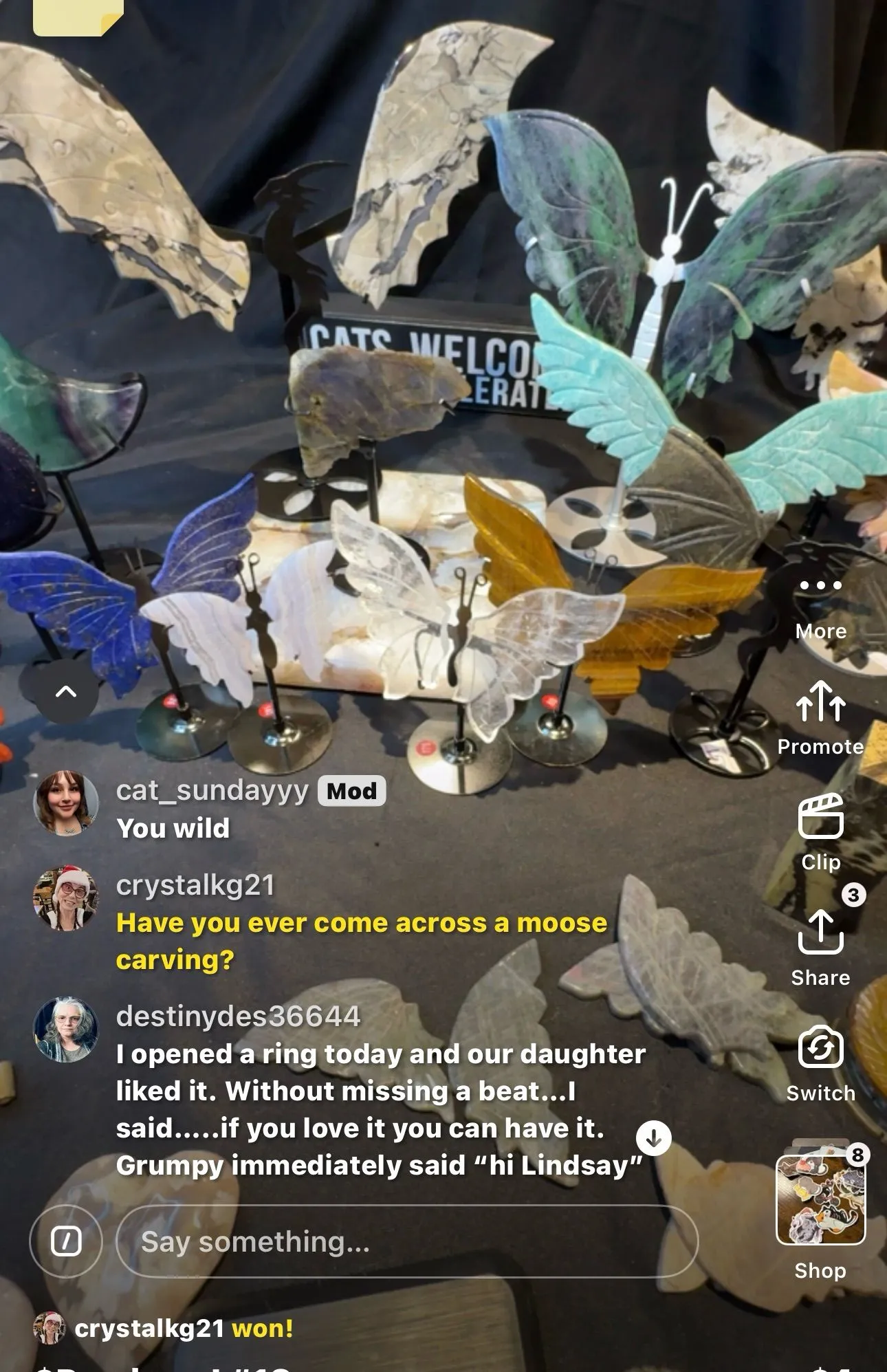 Thumbnail for live show