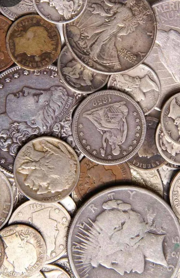 Thumbnail für Live-Show