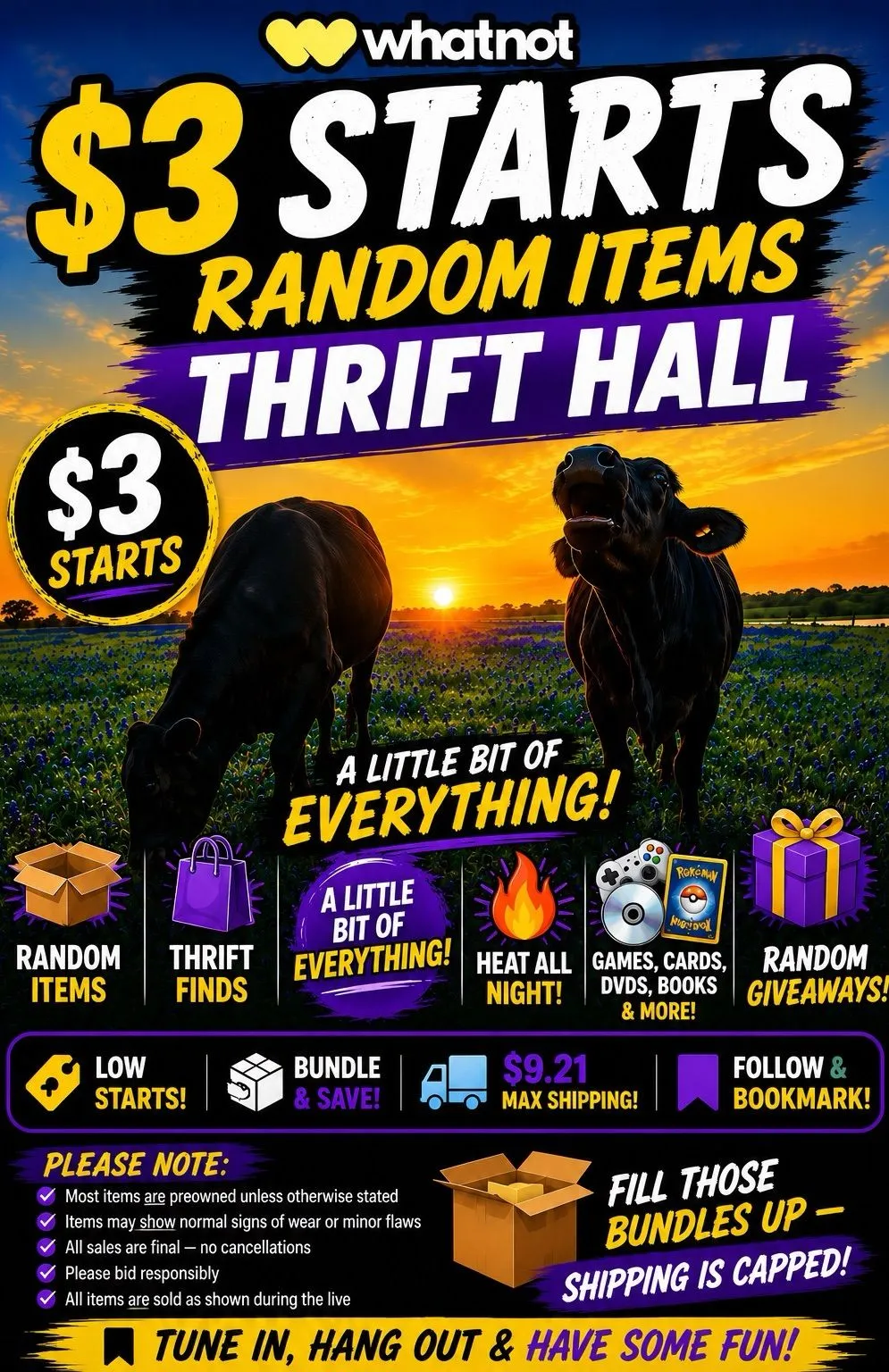 Thumbnail for live show