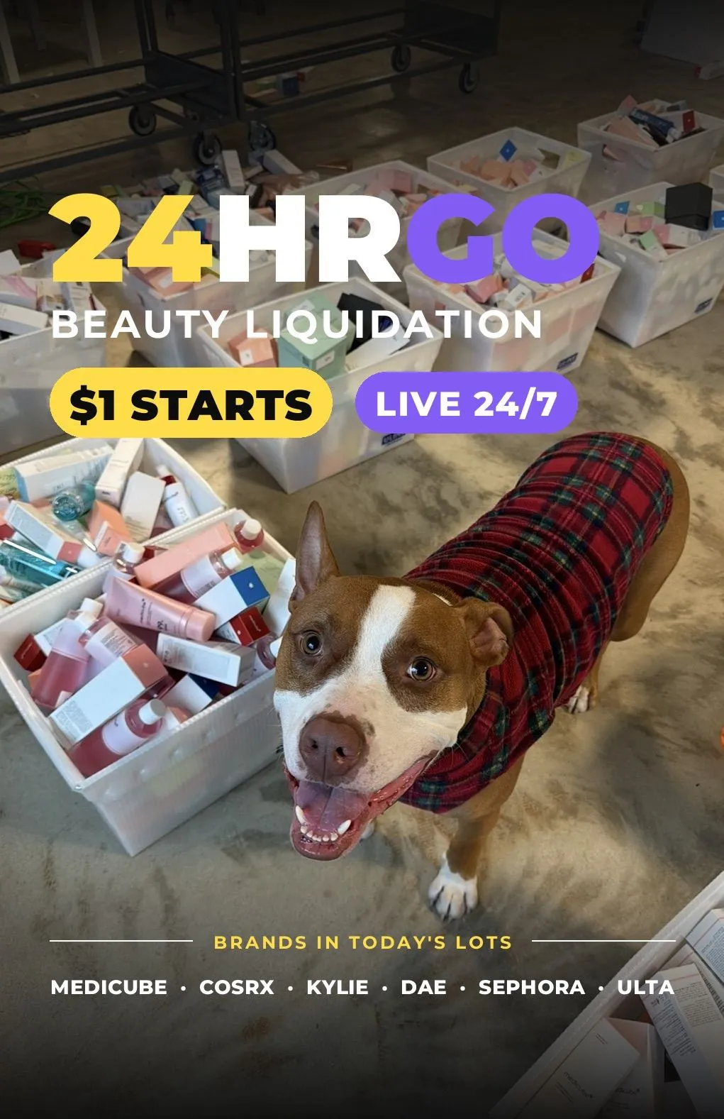 Thumbnail for live show