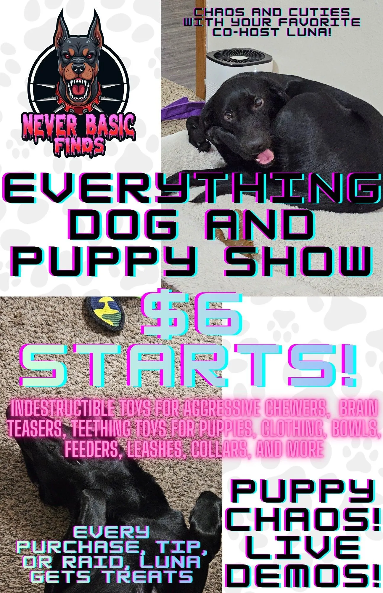 Thumbnail for live show