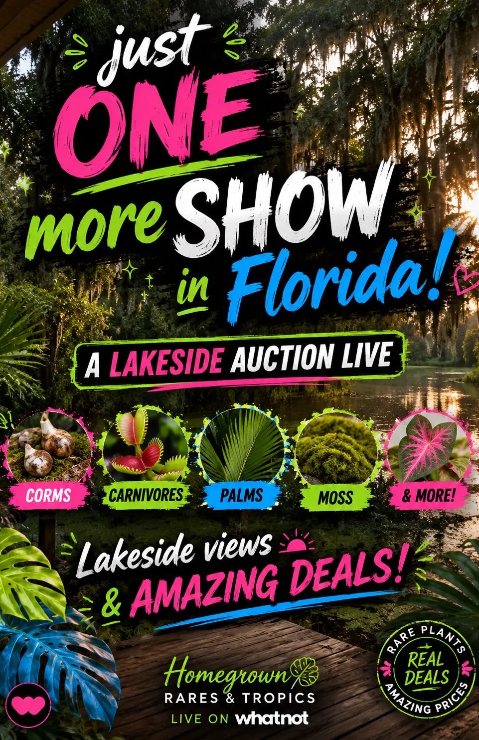 Thumbnail for live show