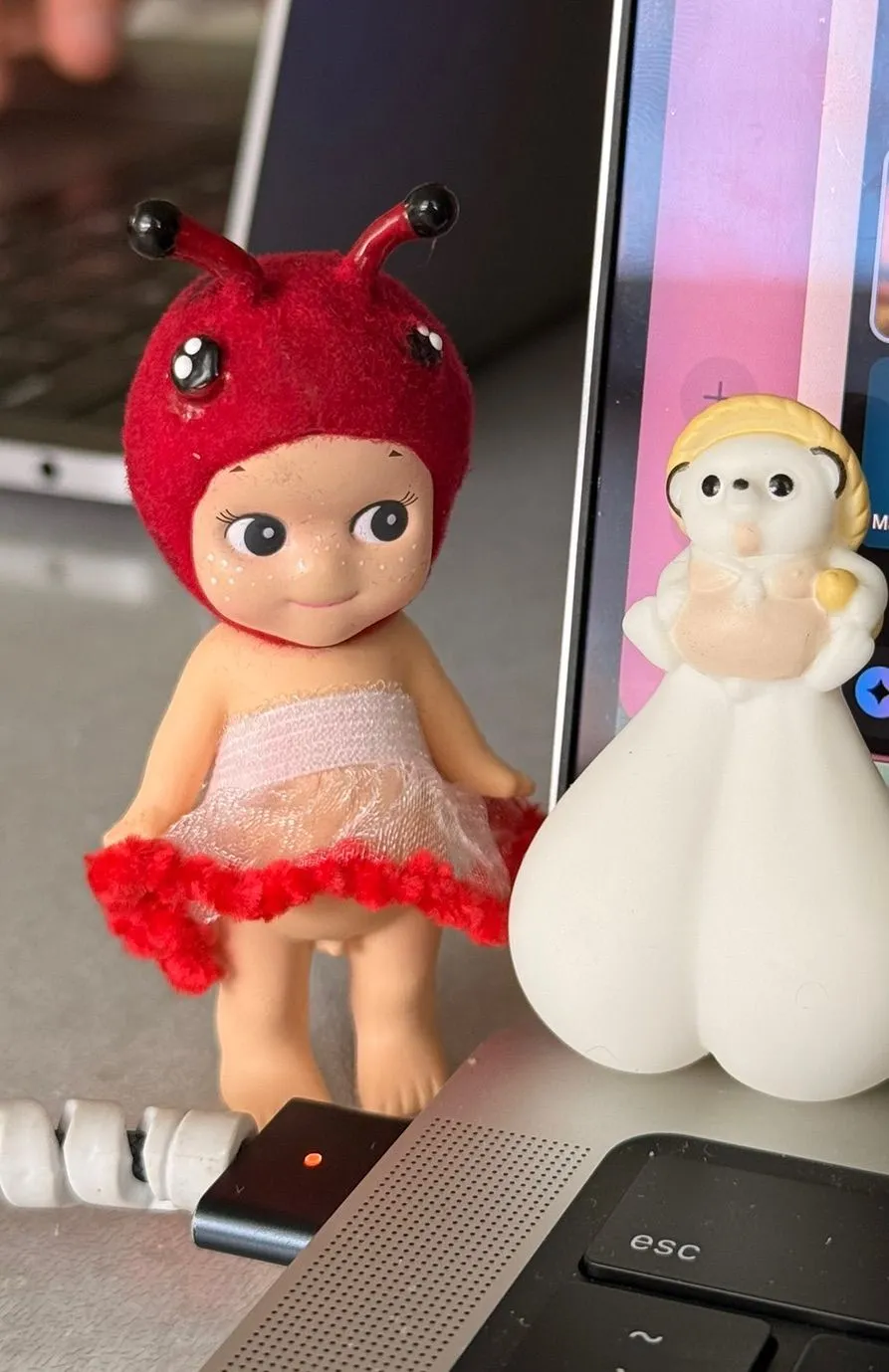 Miniature du live