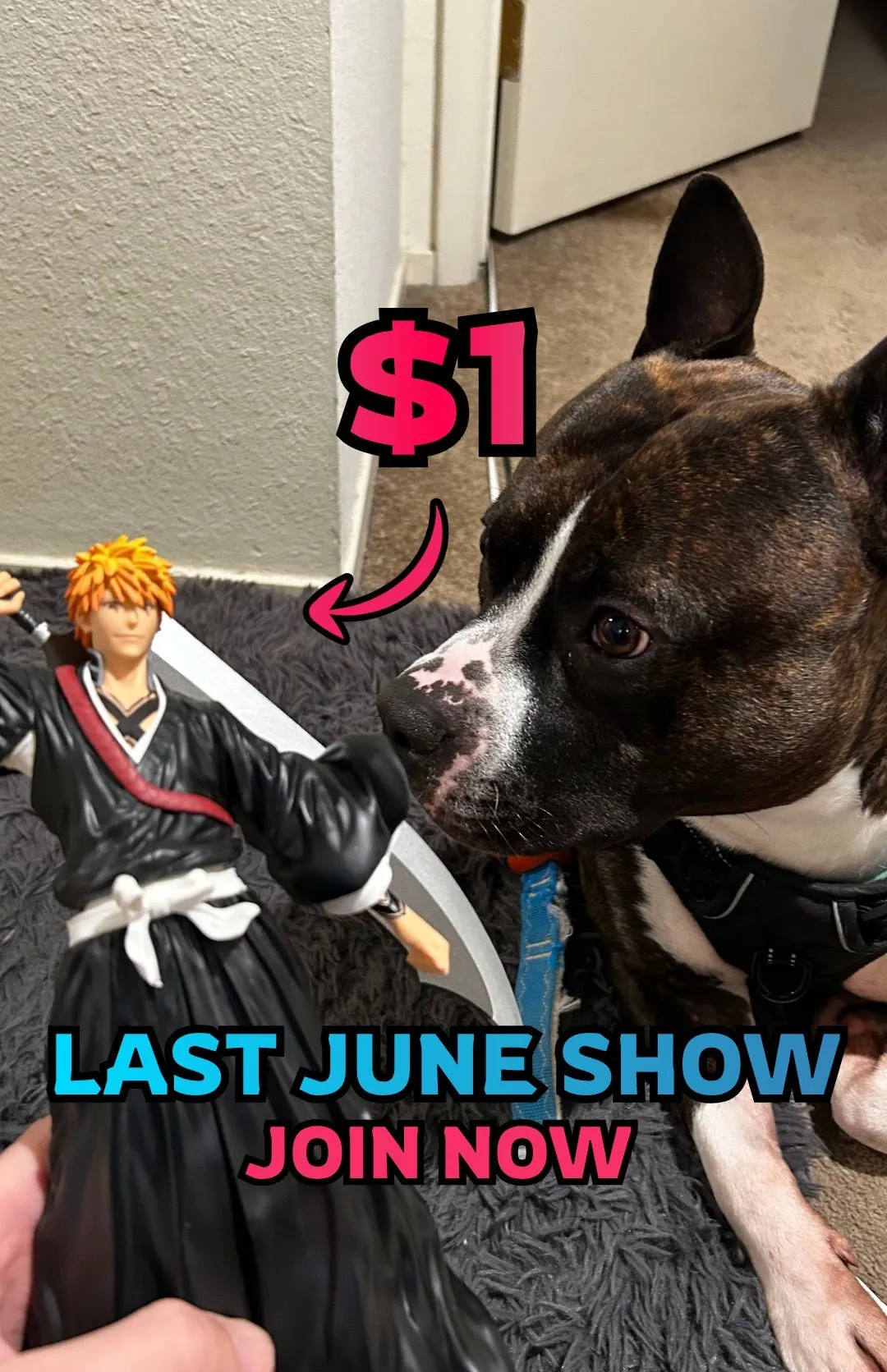 Thumbnail for live show