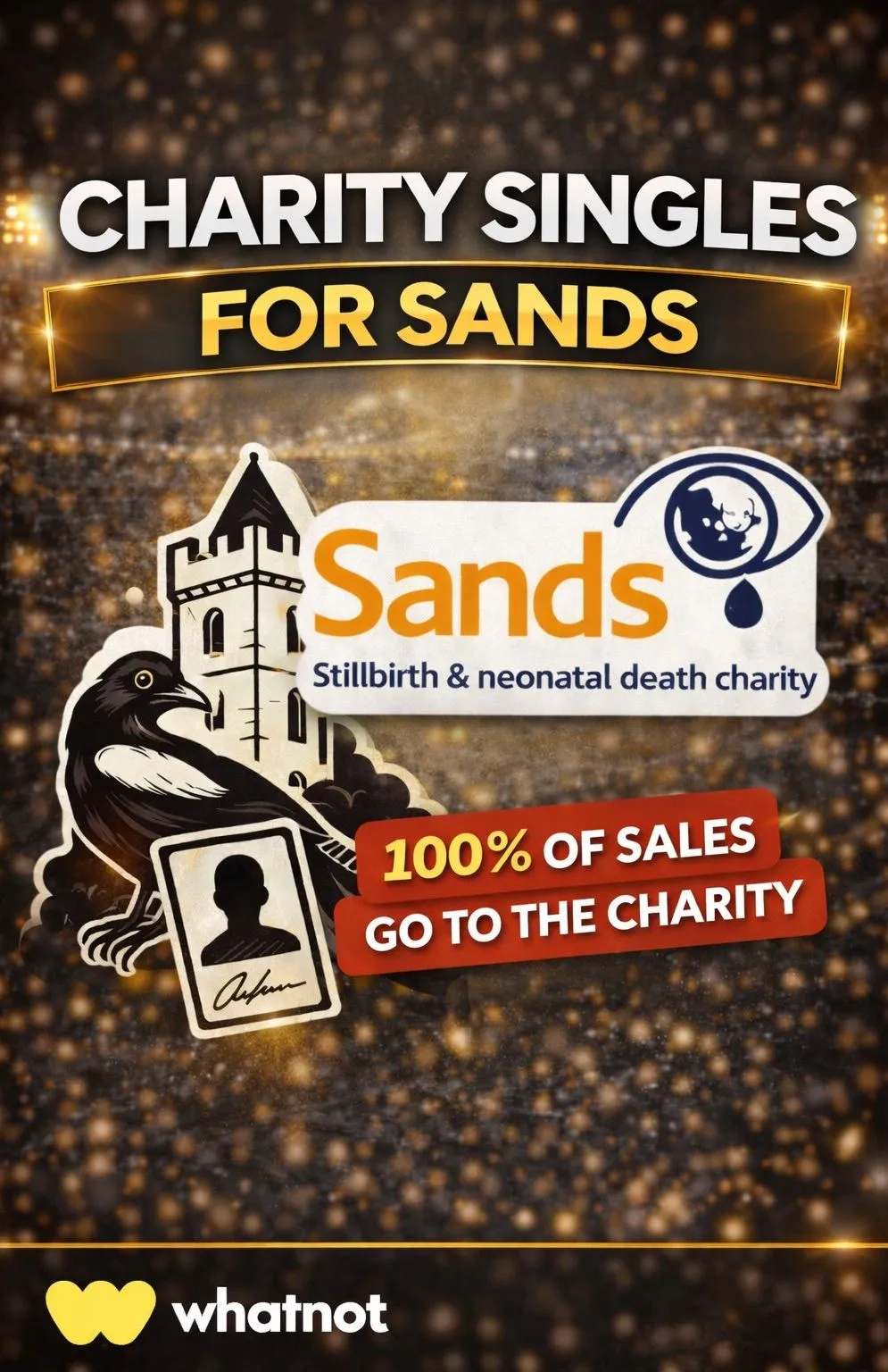 £1 Start Charity Stream In Aid Of Sands UK❤️