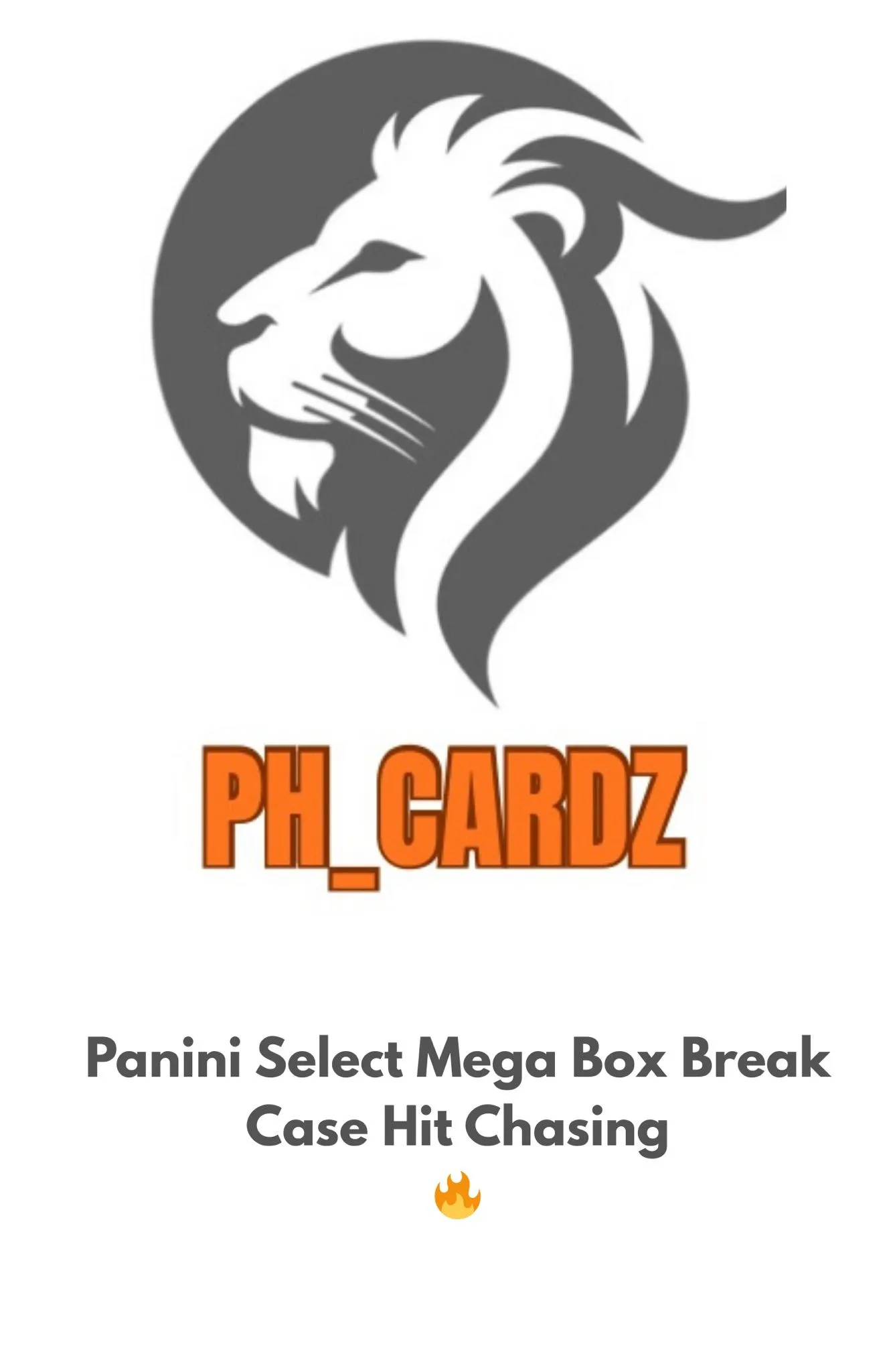 Panini Select Mega Box Break🔥