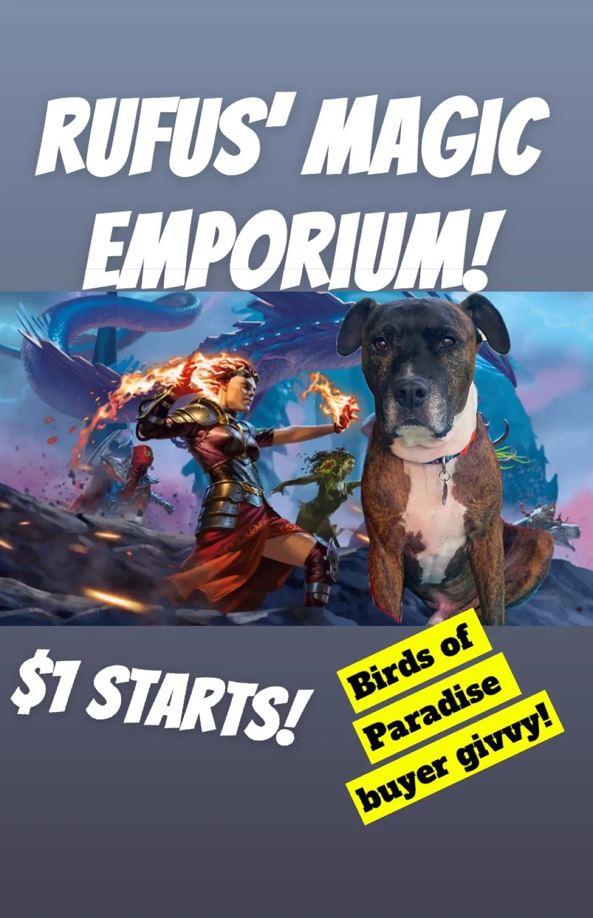 Thumbnail for live show