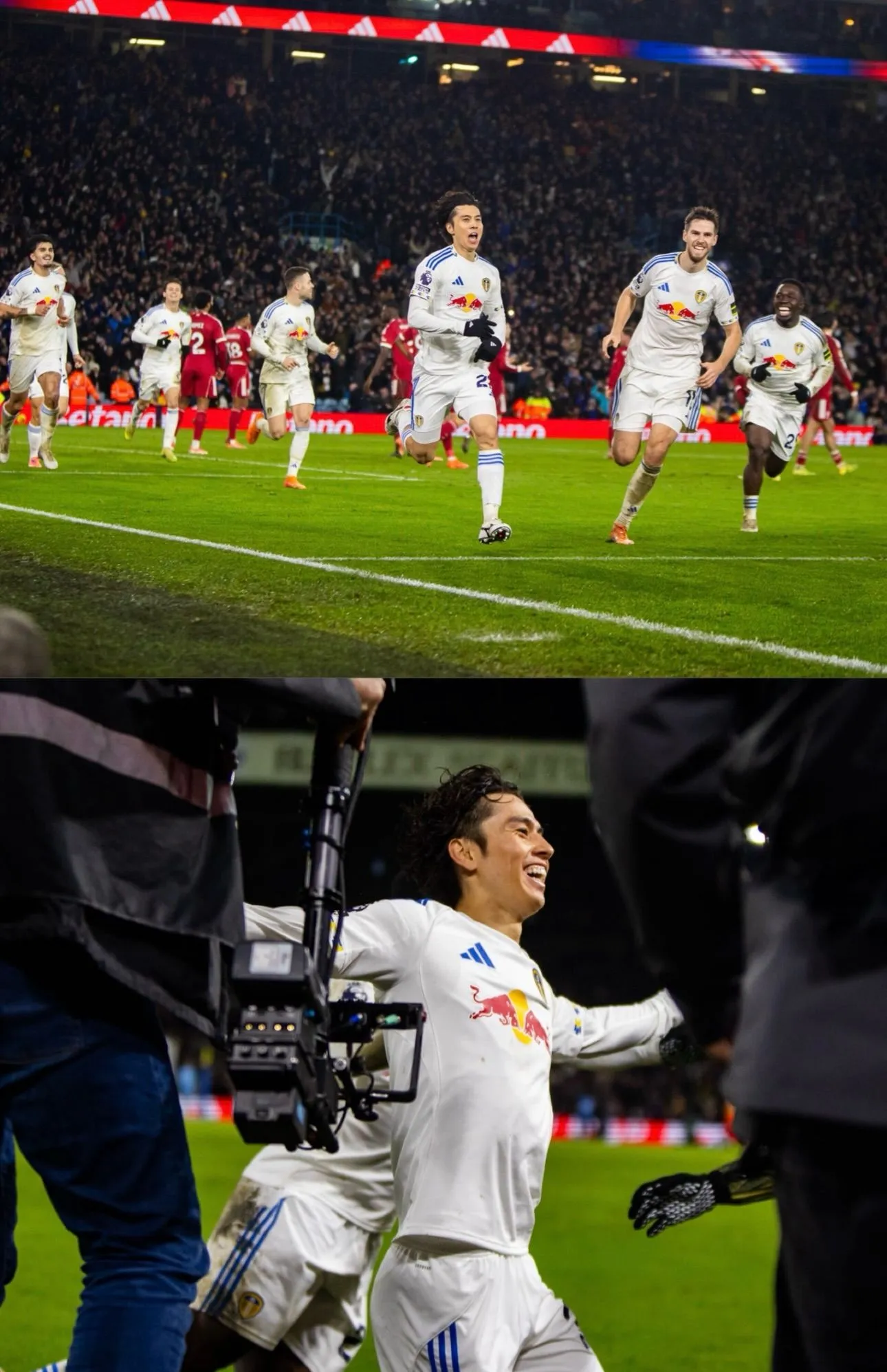 Happy New Year Singles