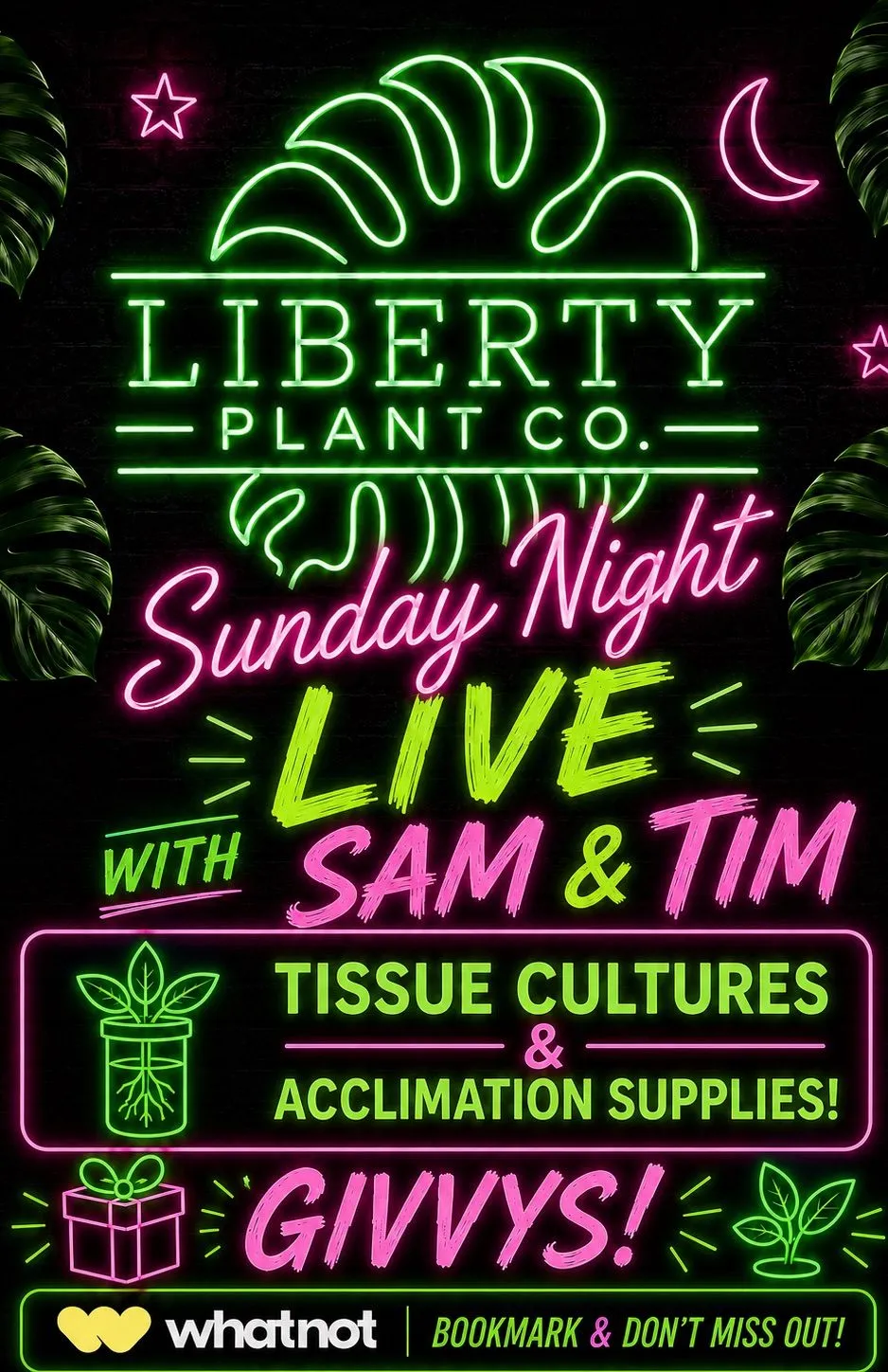Thumbnail for live show