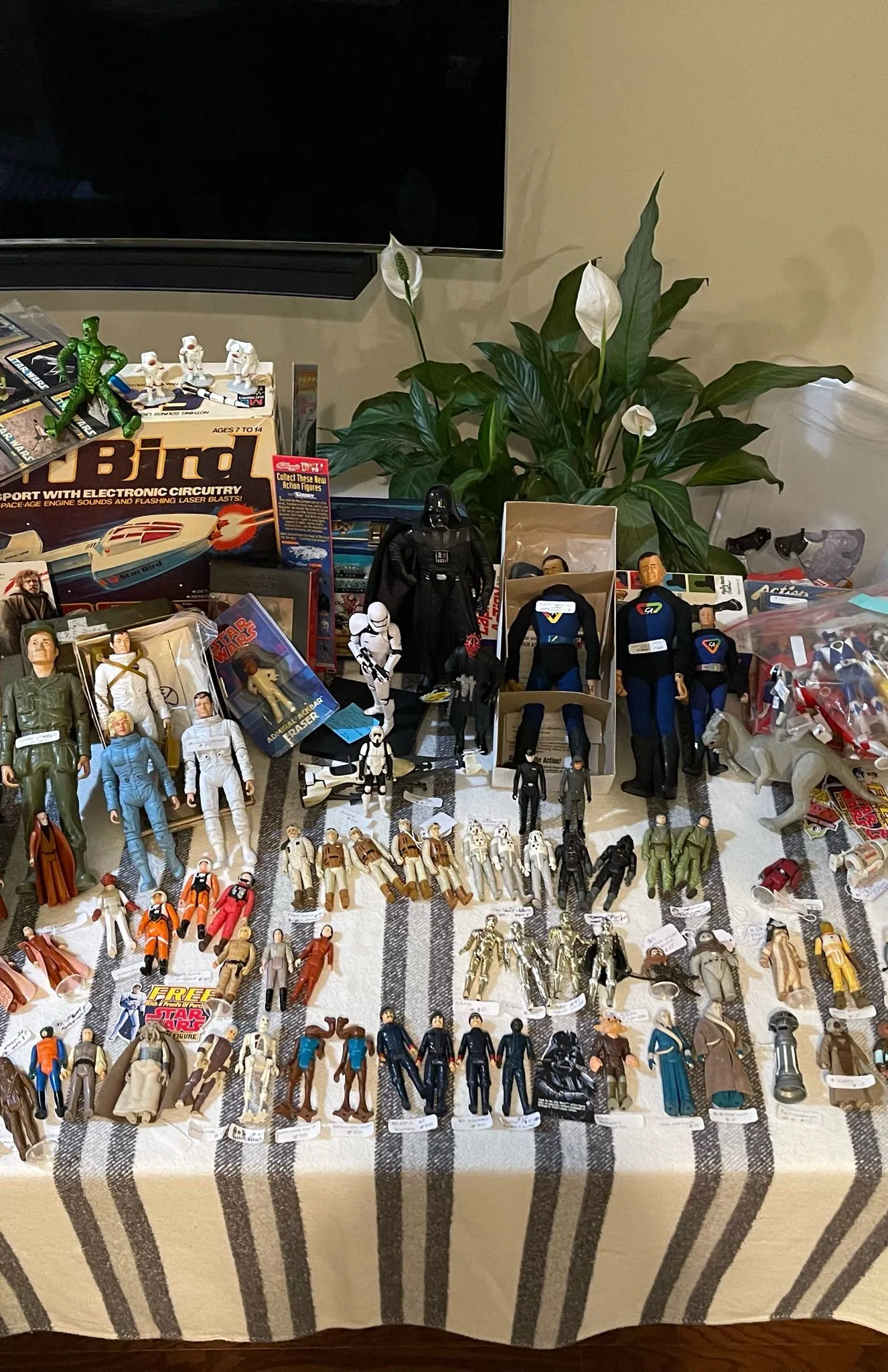 Miniature du live