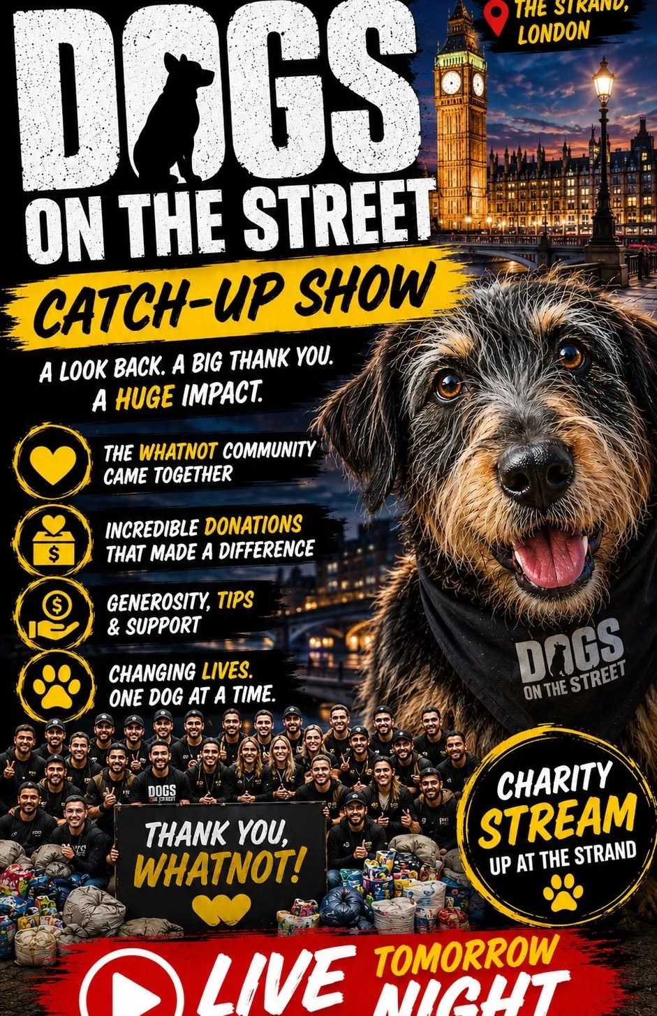 Thumbnail for live show