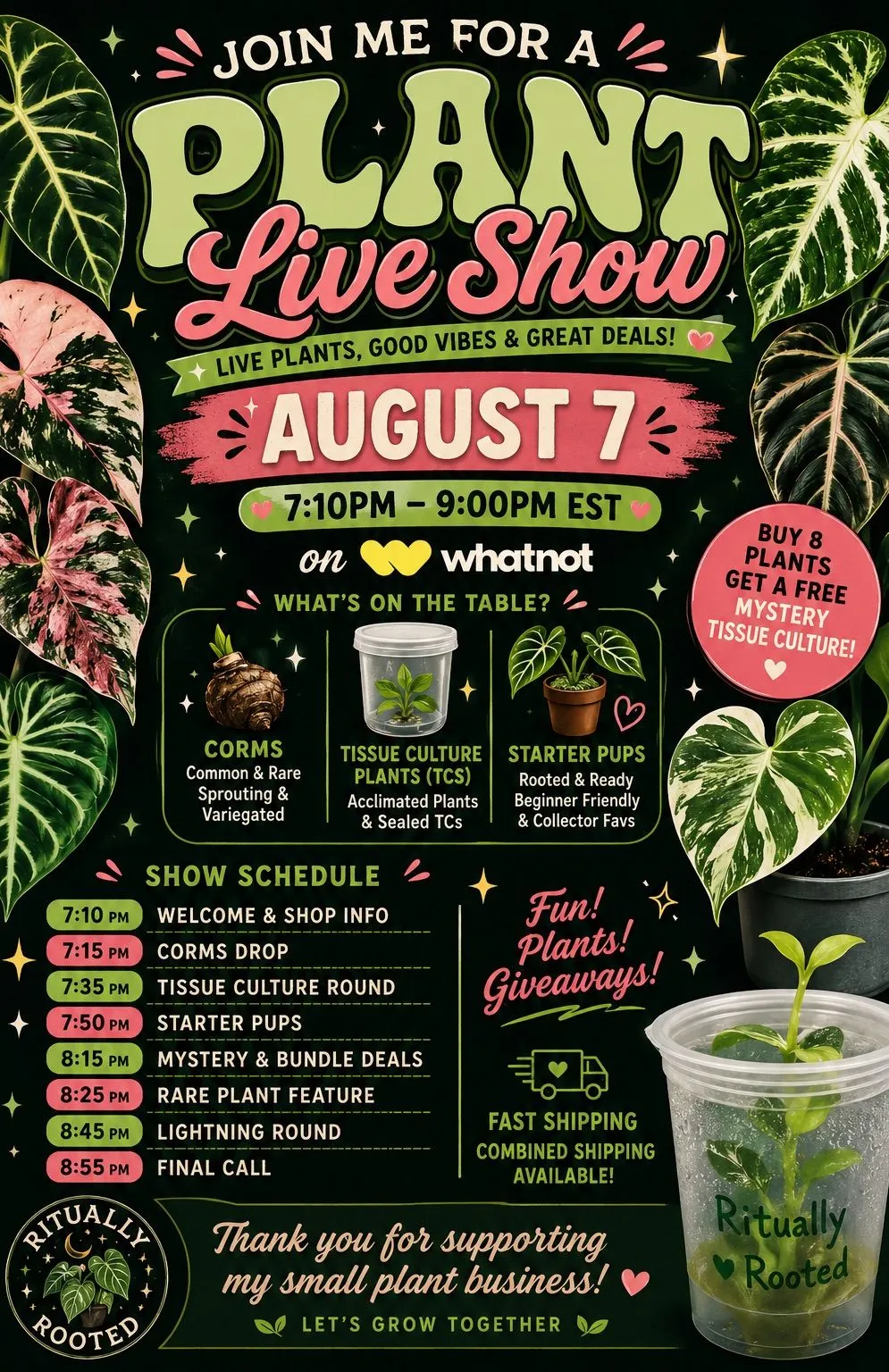 Thumbnail for live show