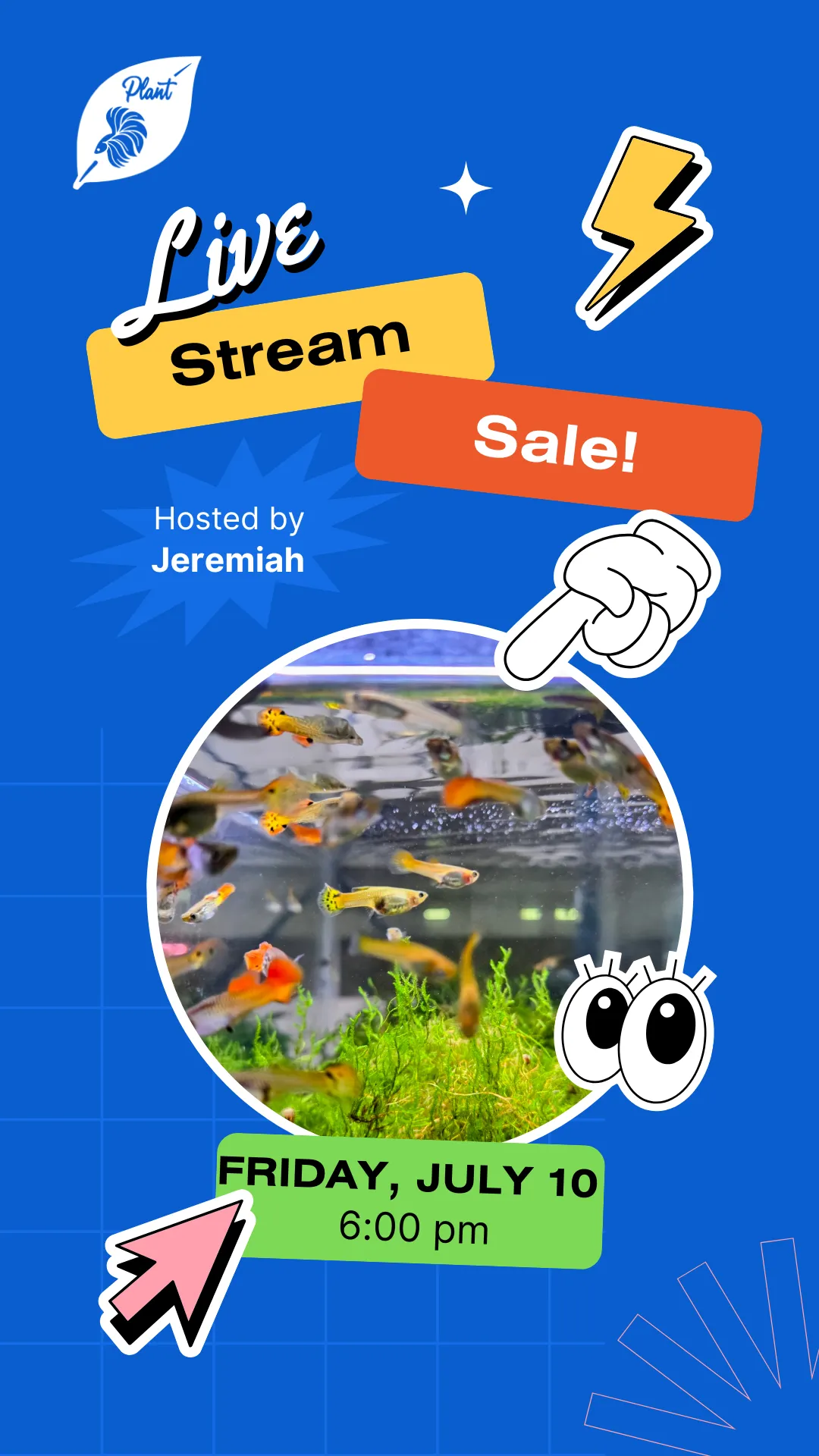 Thumbnail for live show