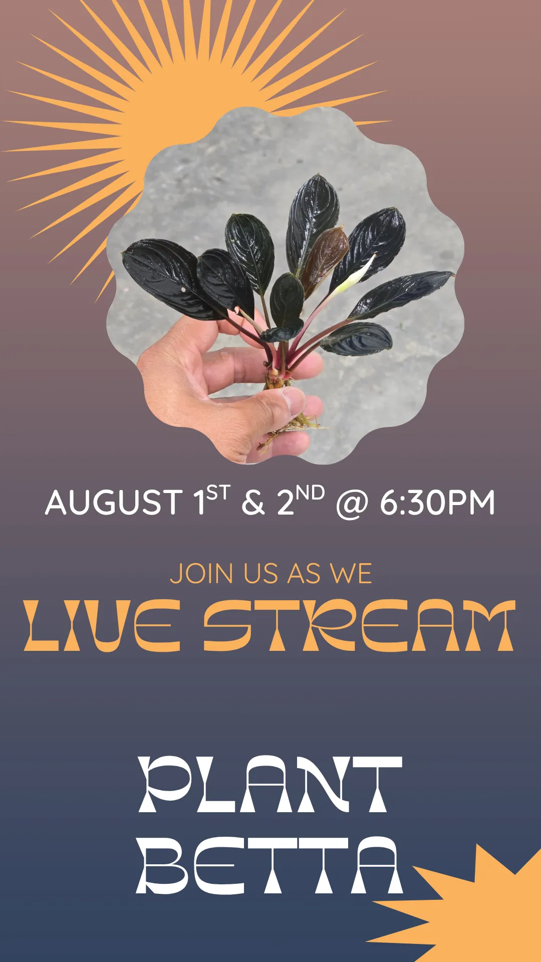 Thumbnail for live show
