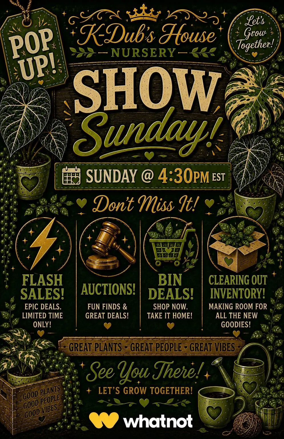 Thumbnail for live show