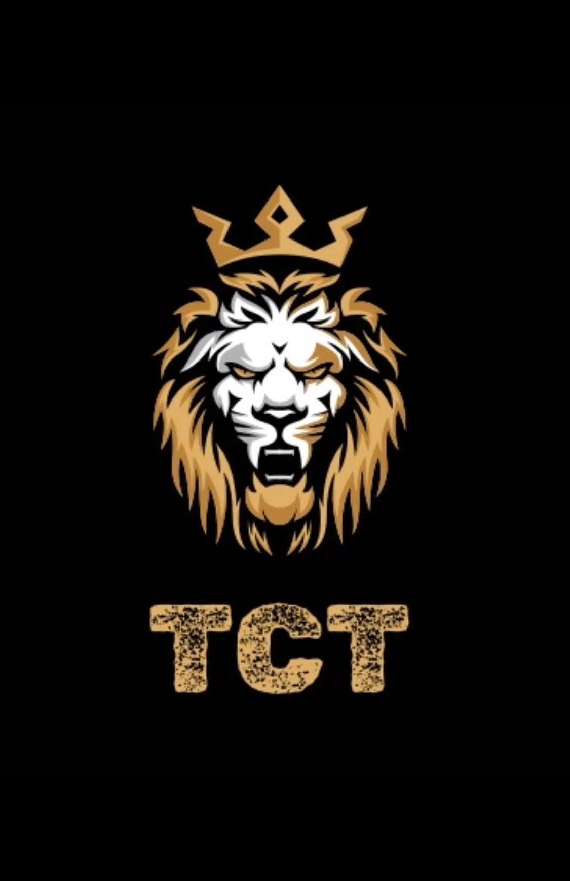 BOOKMARK FOR FUTURE SHOWS 🔖