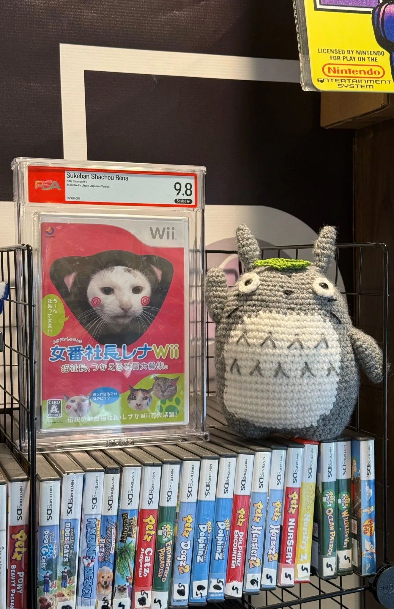 ライブ用のサムネイル