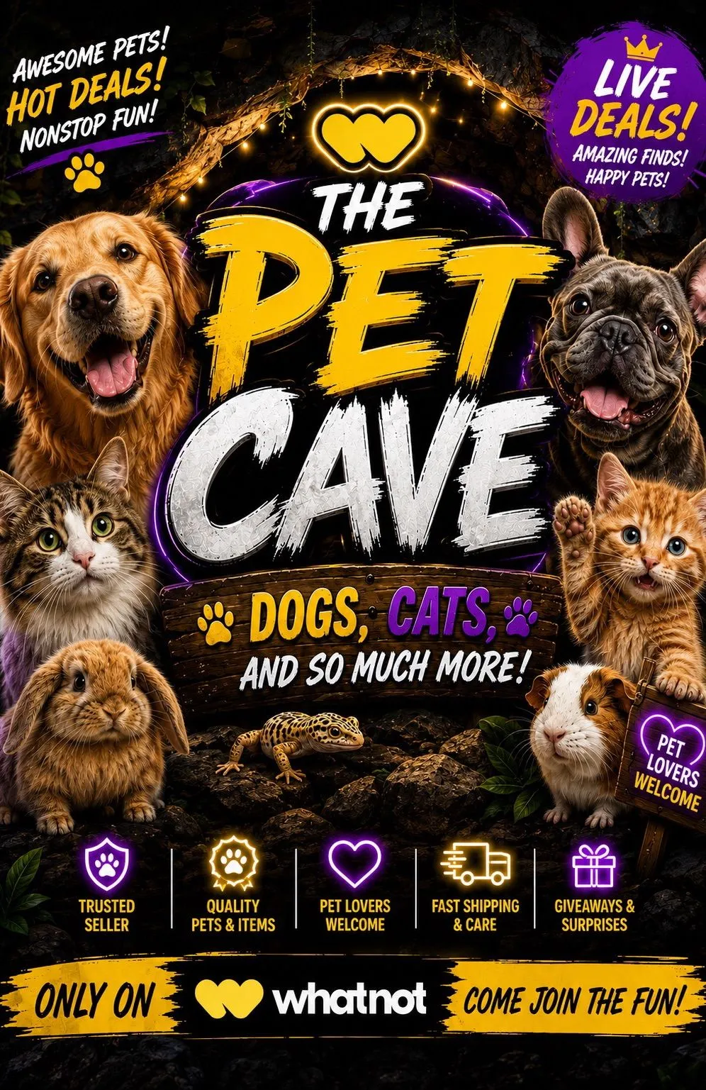 Thumbnail for live show