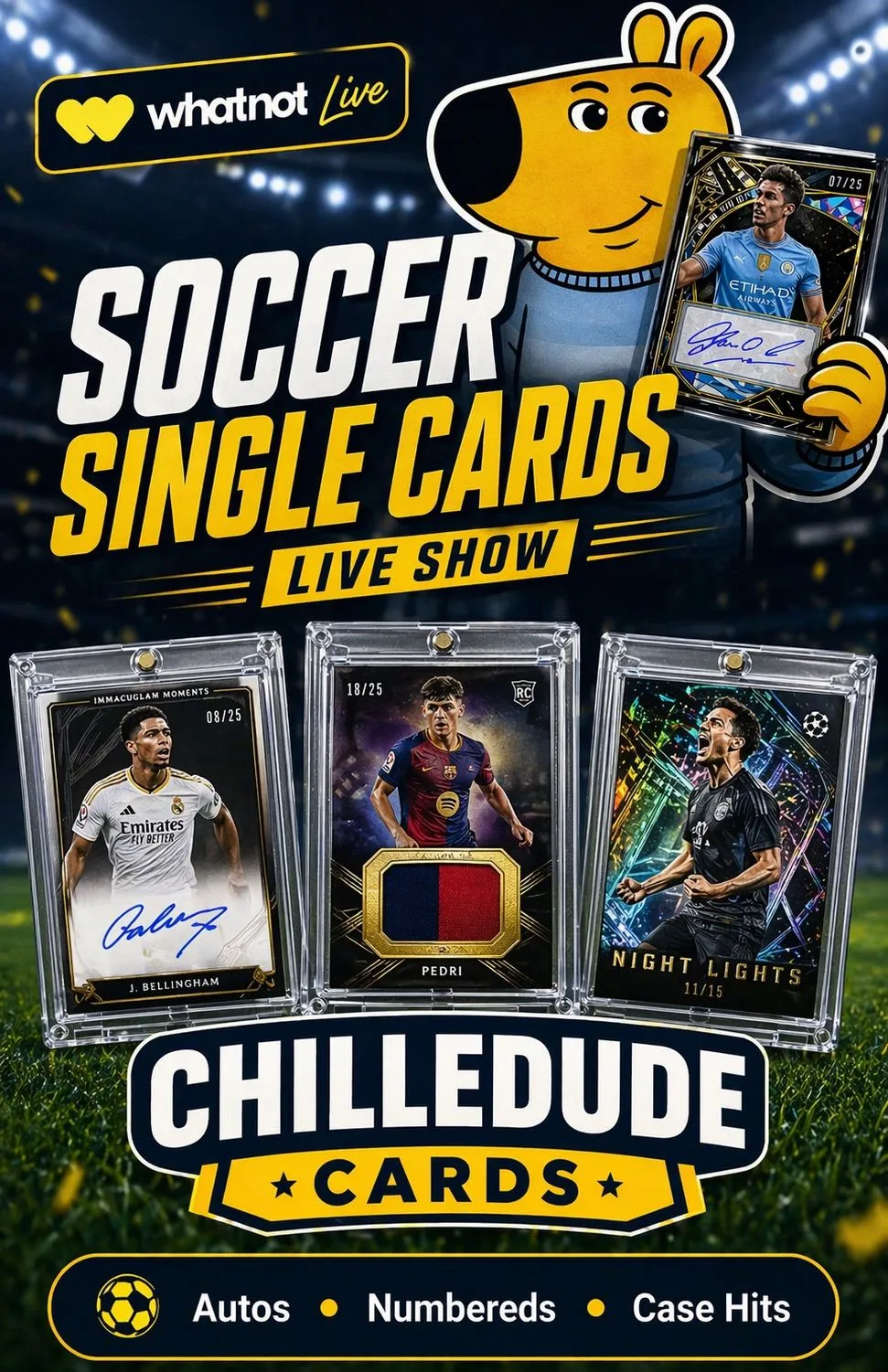 Thumbnail for live show