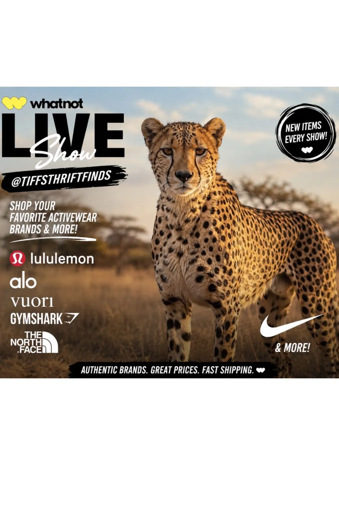 Thumbnail for live show