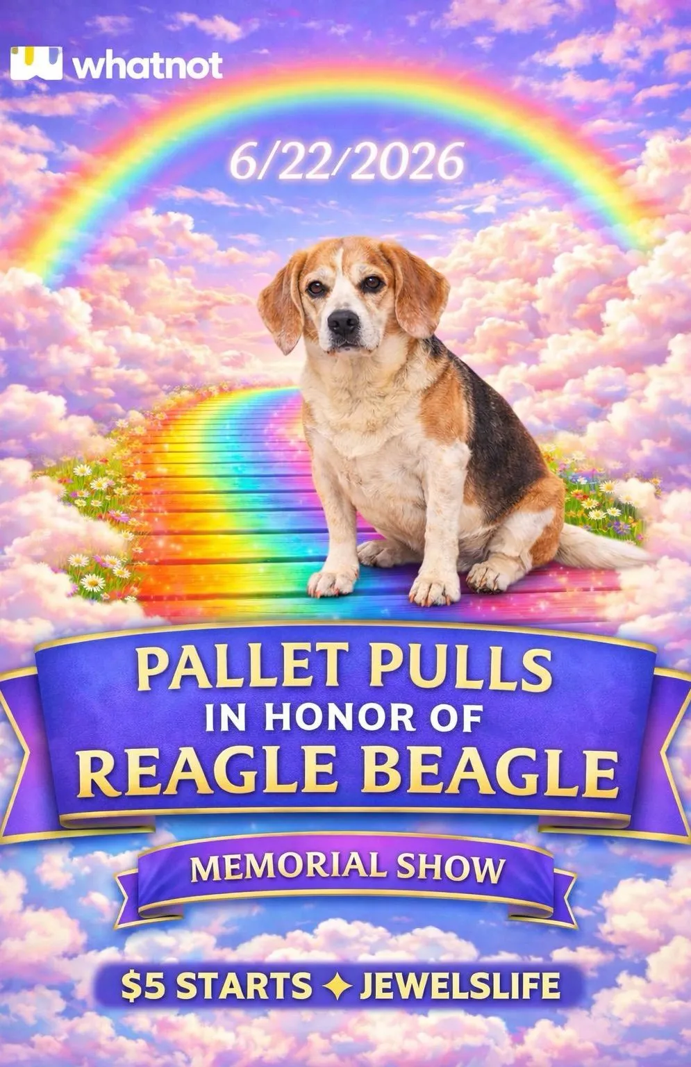 Thumbnail for live show