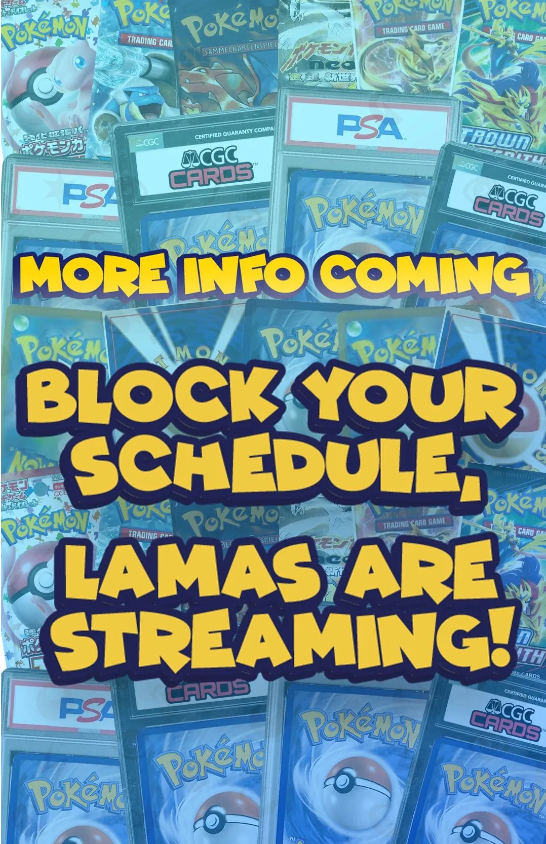 Vorschaubild für Livestream