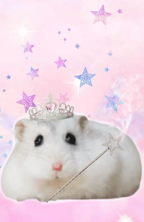 Miniature du live