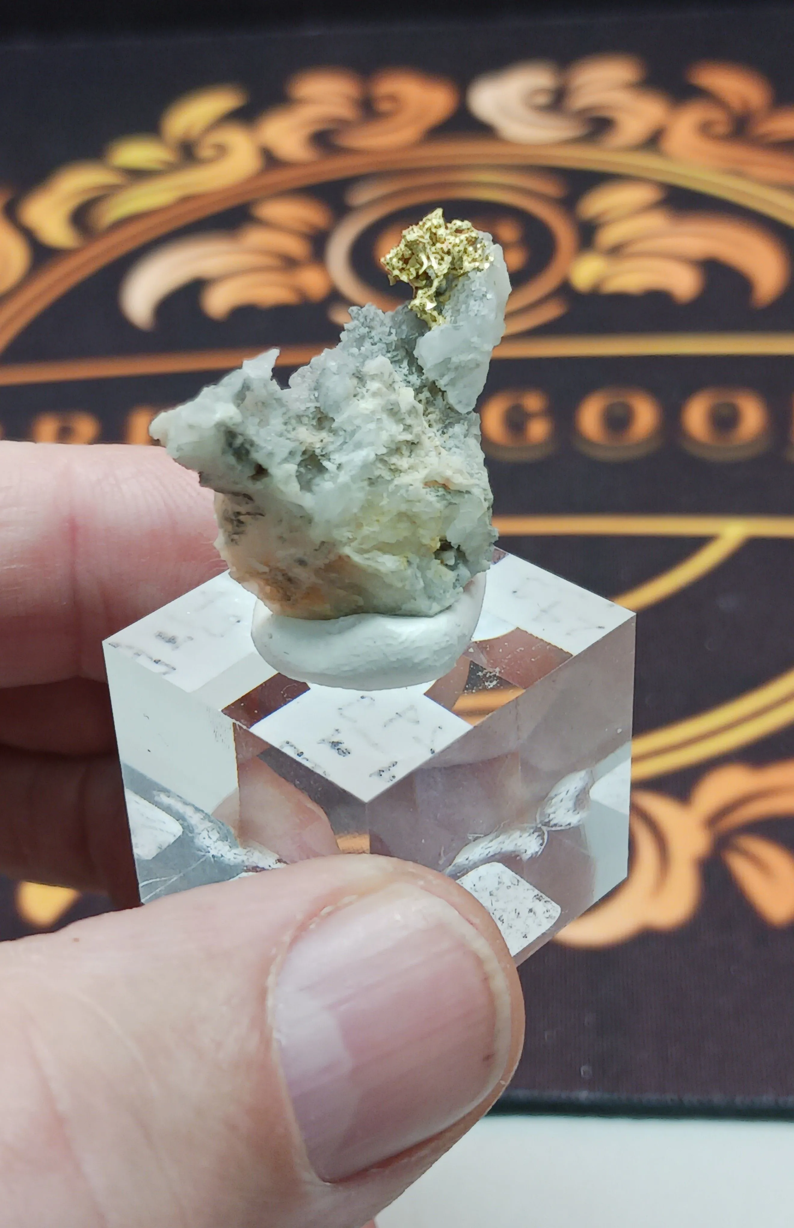 Miniature du live