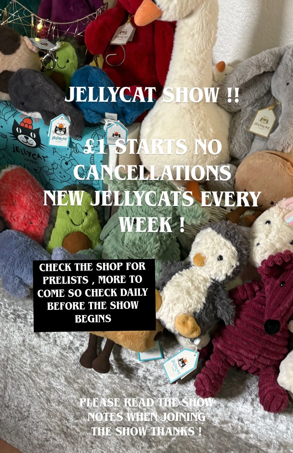 Thumbnail for live show