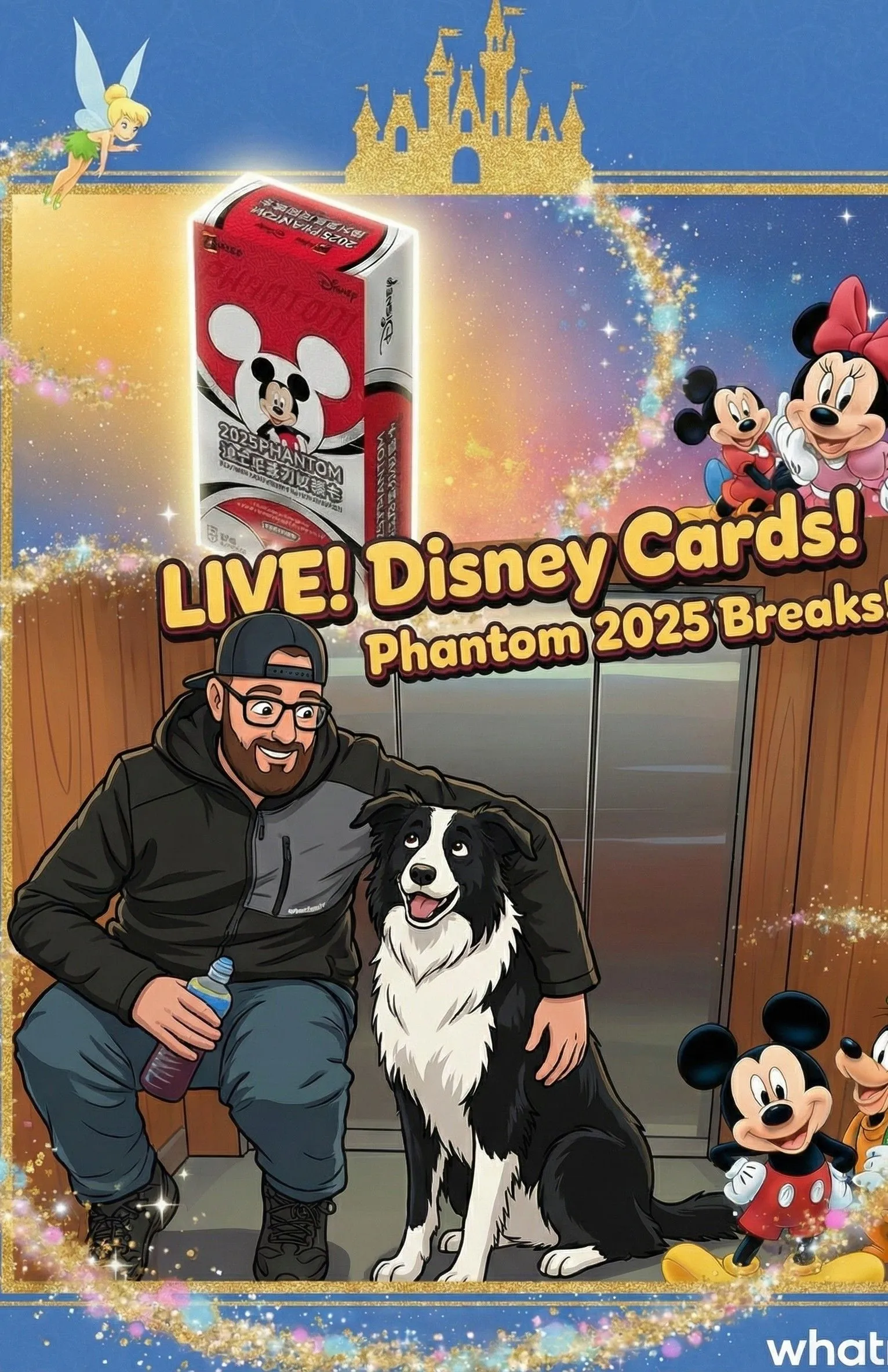 DISNEY BOX BREAKS