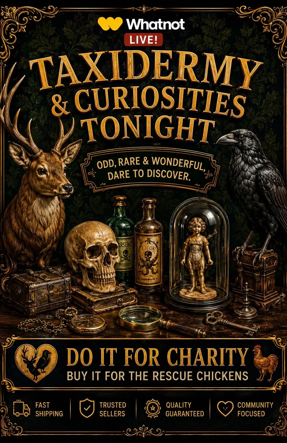 Thumbnail for live show