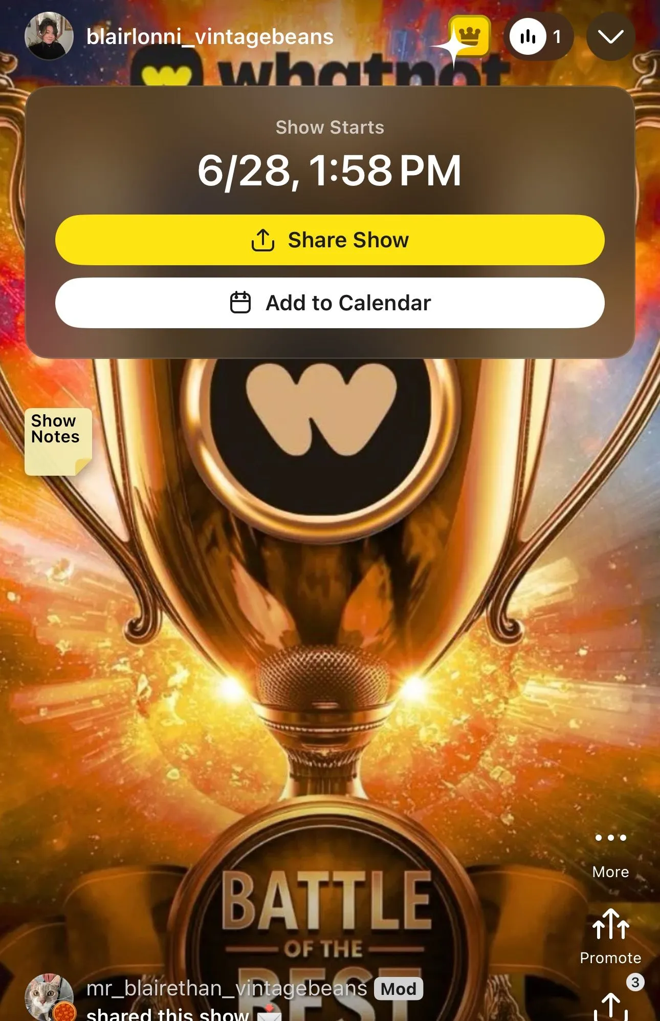 Thumbnail for live show