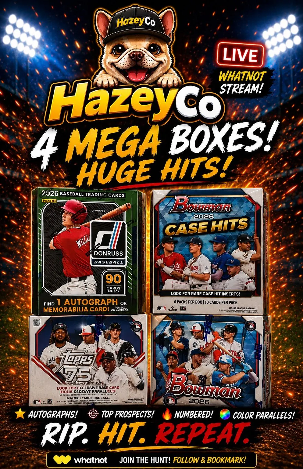 Thumbnail for live show
