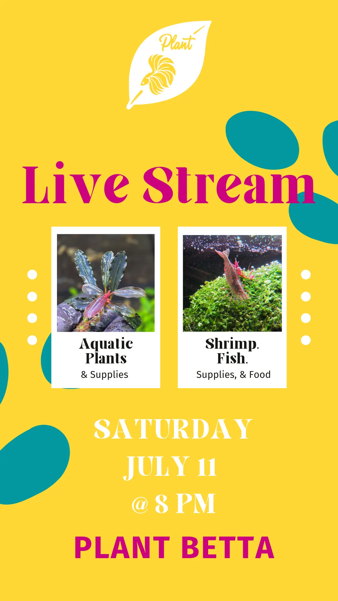 Thumbnail for live show