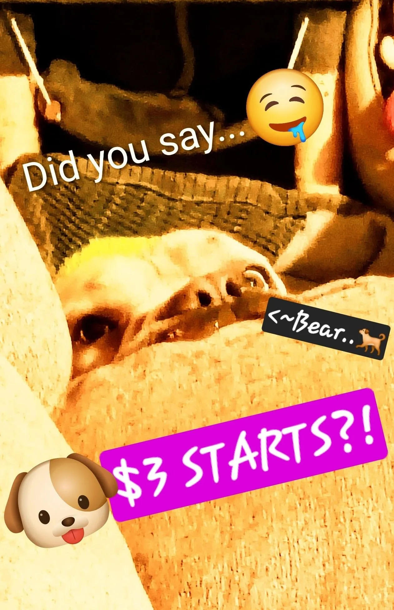 Thumbnail for live show