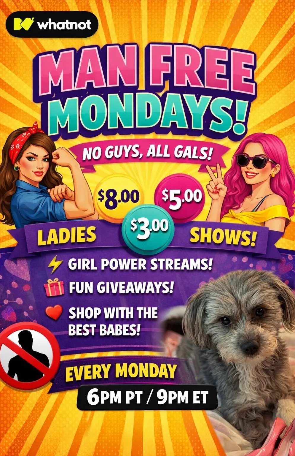 Thumbnail for live show