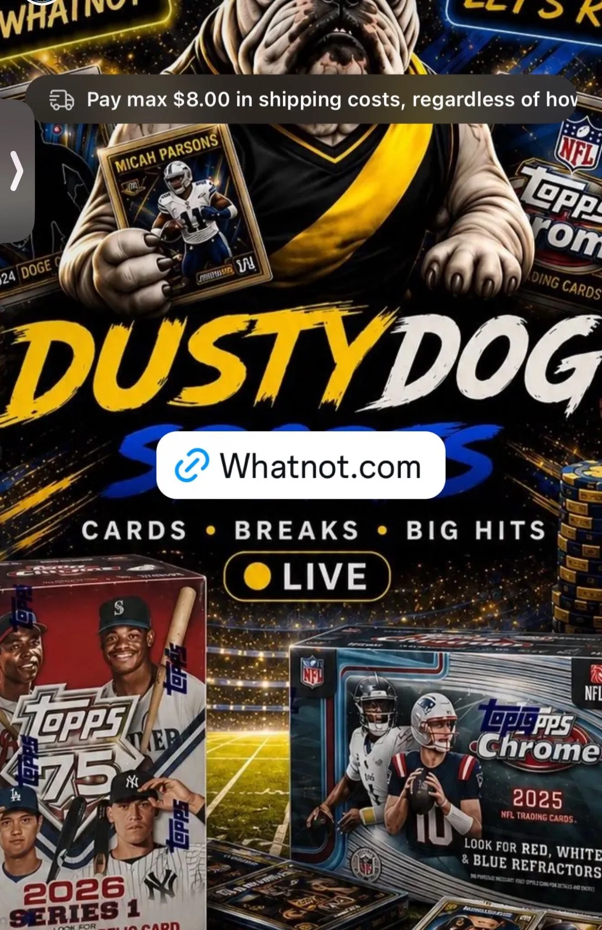 Thumbnail for live show