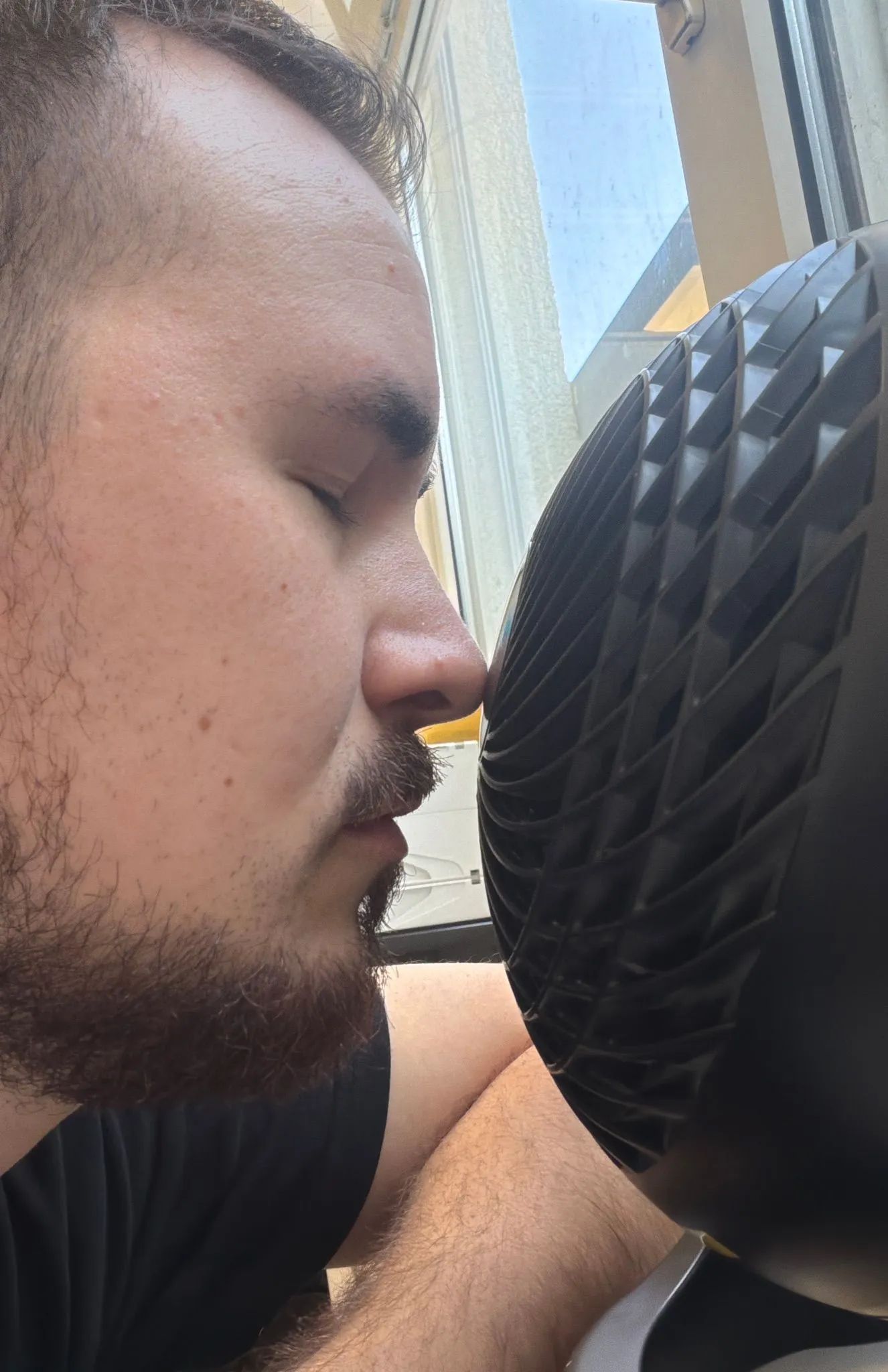 Thumbnail für Live-Show