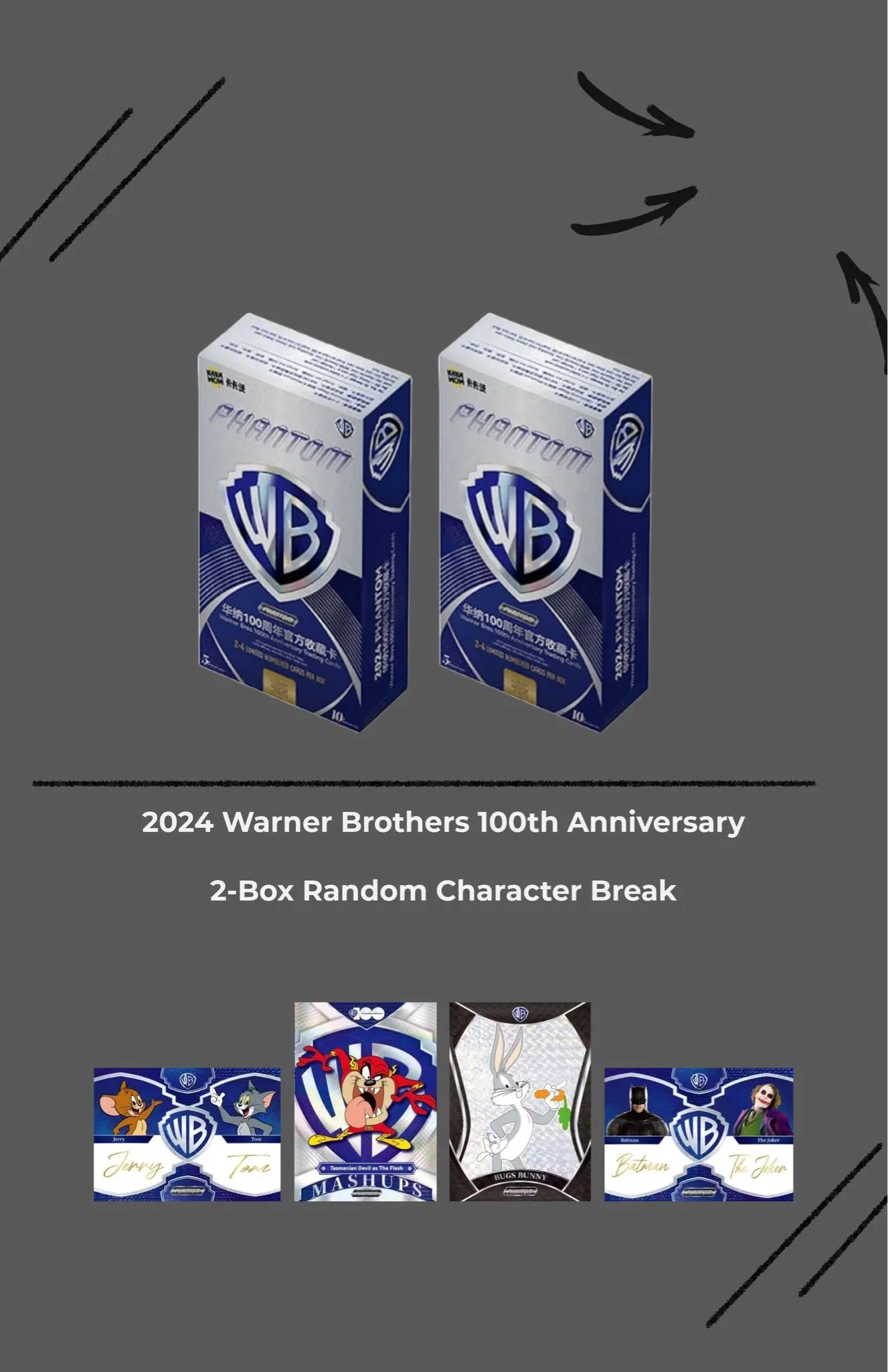 🇩🇪 🔥 WARNER BROTHERS 100TH - 2 BOX RANDOM CHARACTER 🔥