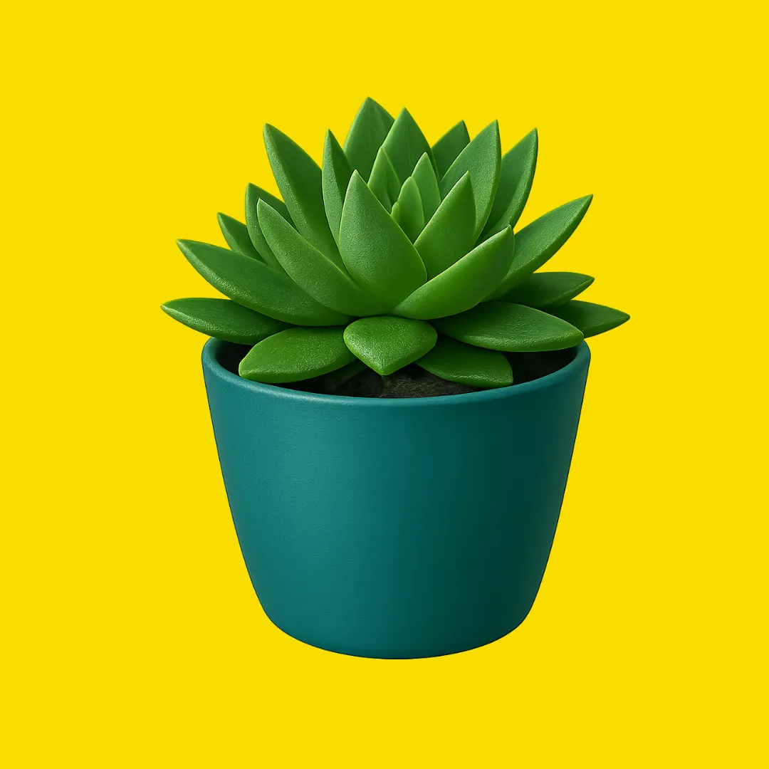 Home & Garden