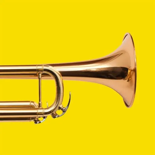 Instruments & Accessories