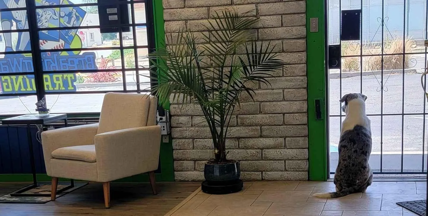 Store Image