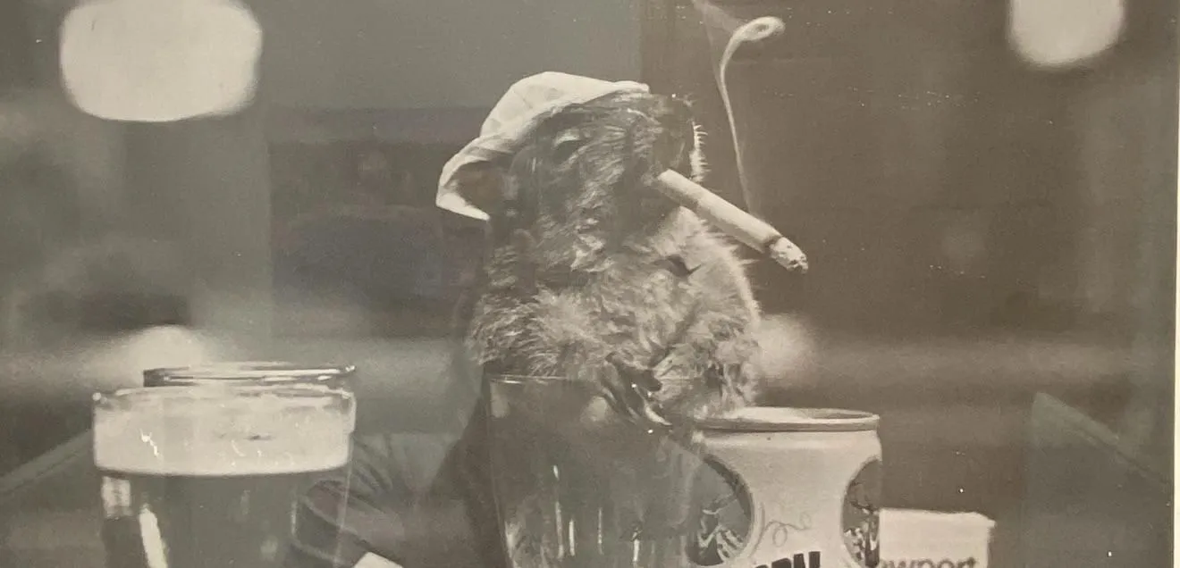 Store Image