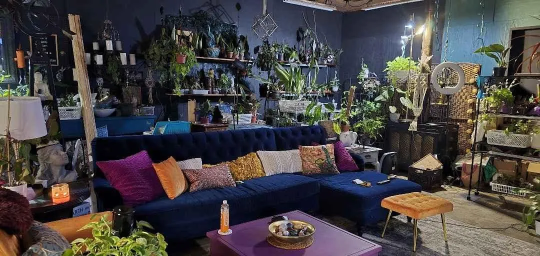 Store Image