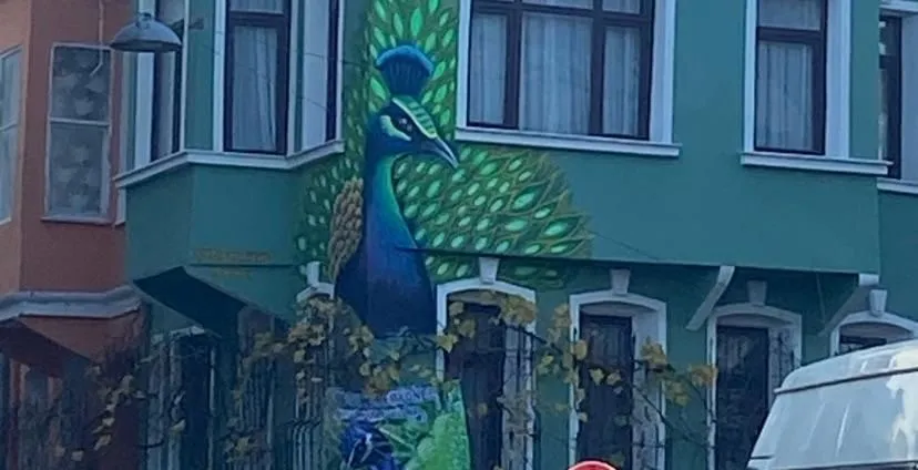 Store Image