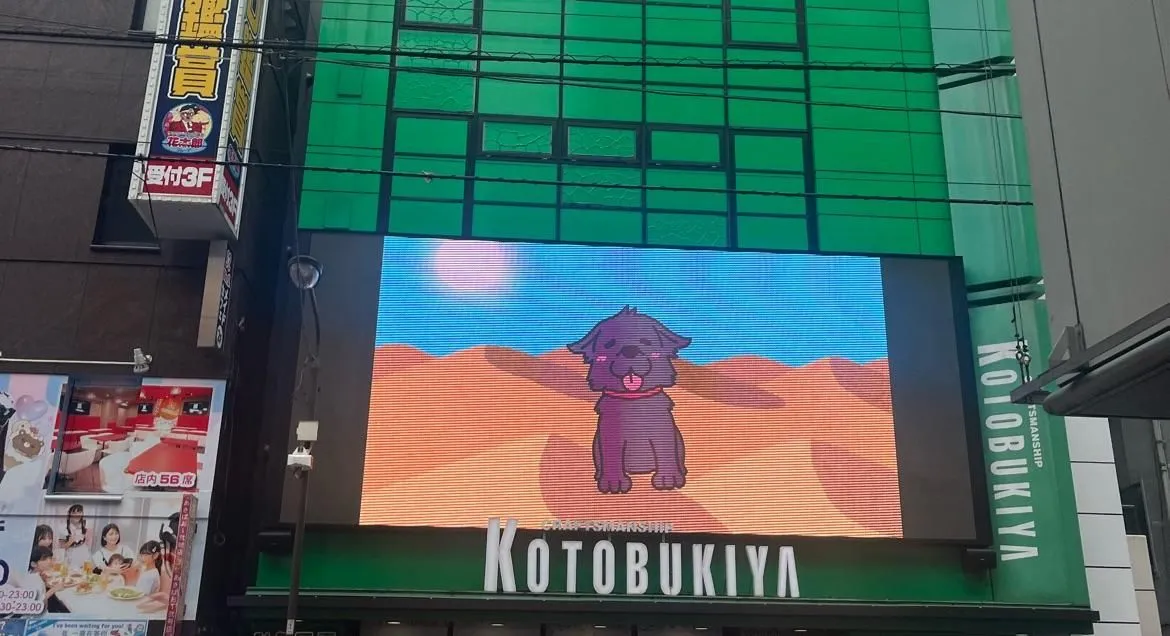 Store Image