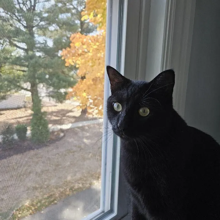 beccanthewild